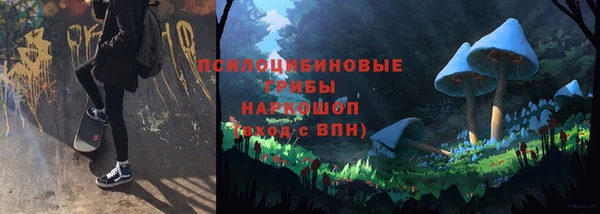 гидра Верея