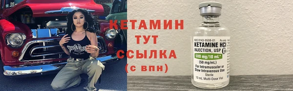 a pvp Бородино