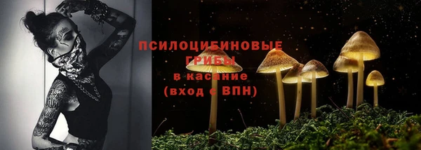 a pvp Бородино