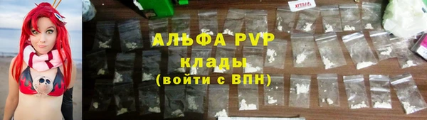 a pvp Бородино