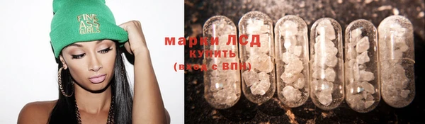 гидра Верея