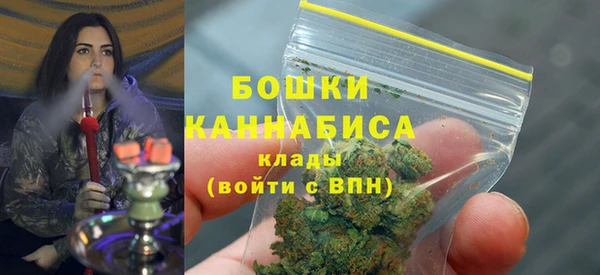 гидра Верея