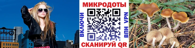 Псилоцибиновые грибы мицелий Наро-Фоминск