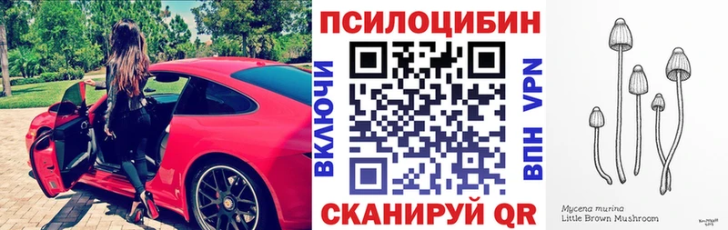 сколько стоит  Наро-Фоминск  Галлюциногенные грибы Psilocybe 